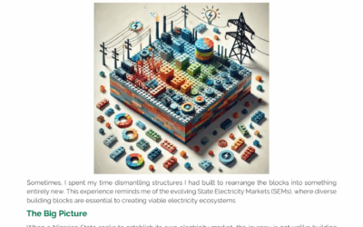 Transitioning to State Electricity Markets