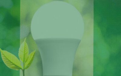 National Integrated Electricity Policy Report