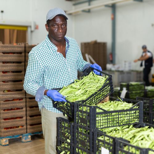 Special Agricultural Processing Zone Programme Multicriteria Analysis