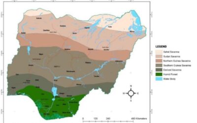 Demand Analysis Report Special Agricultural Processing Zones Nigeria Programme