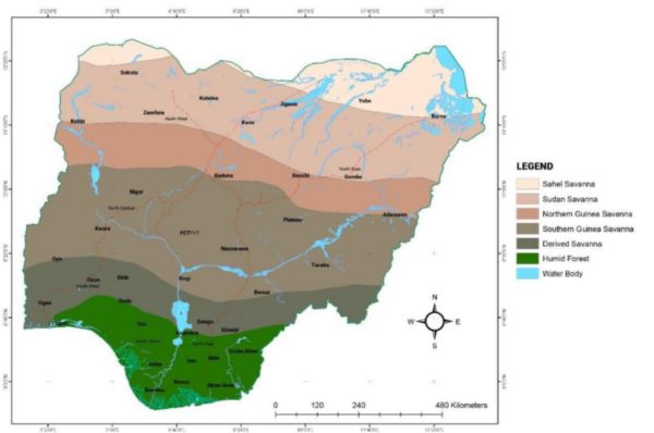 Demand Analysis Report Special Agricultural Processing Zones Nigeria Programme