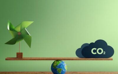 Overview of the Voluntary Carbon Market