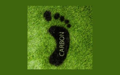 Carbon Market Development in Nigeria