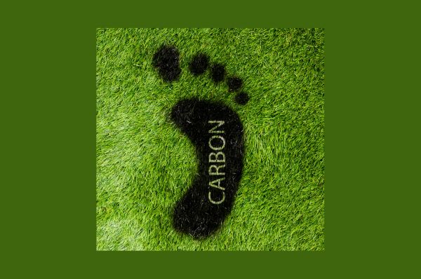Carbon Market Development in Nigeria