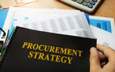 Procurement Strategy and Approach – Kaduna Green Allied Industrial Zone