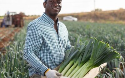 Special Agricultural Processing Zone Programme