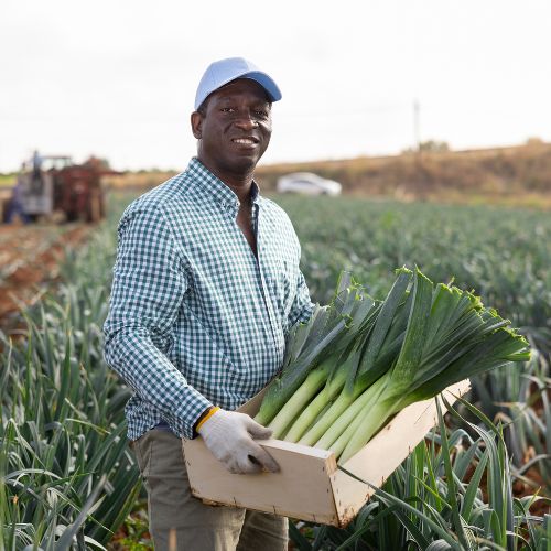 Special Agricultural Processing Zone Programme