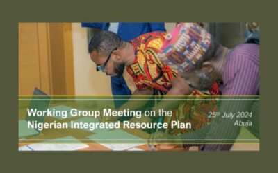 A photo-summary of the IRP Working Group Meeting July 2024