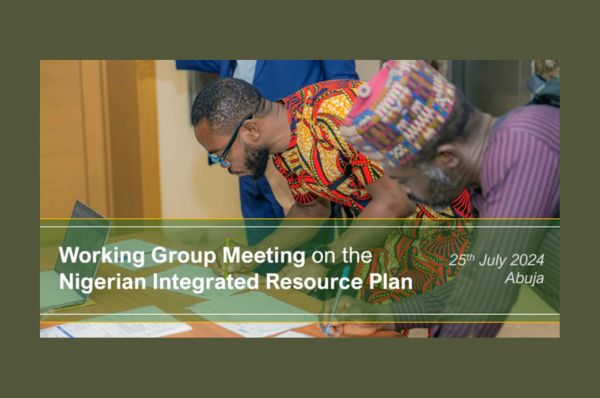 A photo-summary of the IRP Working Group Meeting July 2024