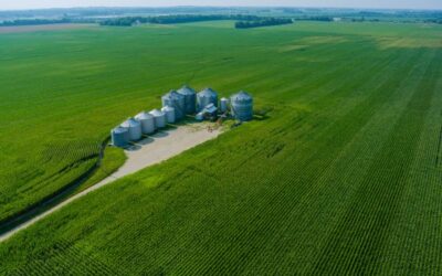 Project Financing Conditions and Drawdown Action Plan (Special Agro-Industrial Processing Zones)
