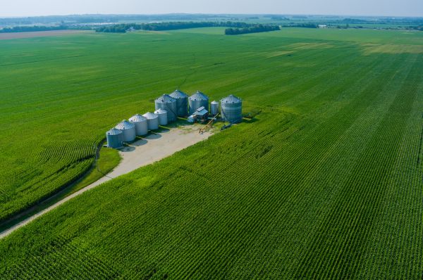 Project Financing Conditions and Drawdown Action Plan (Special Agro-Industrial Processing Zones)
