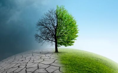 Guidance Document for Assessing Mitigation Impacts and Adaptation Benefits of Climate Smart Projects