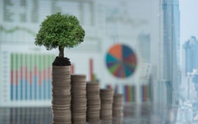 International Climate Finance (ICF)