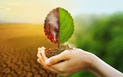 What is Climate Finance?