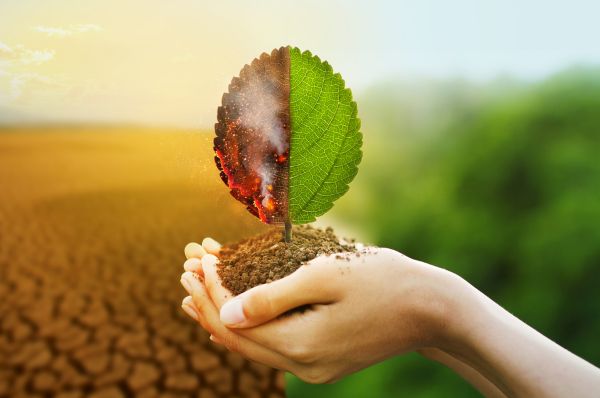 What is Climate Finance?